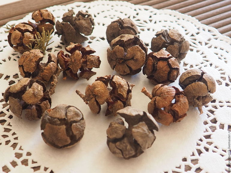 Elige golpes para manualidades