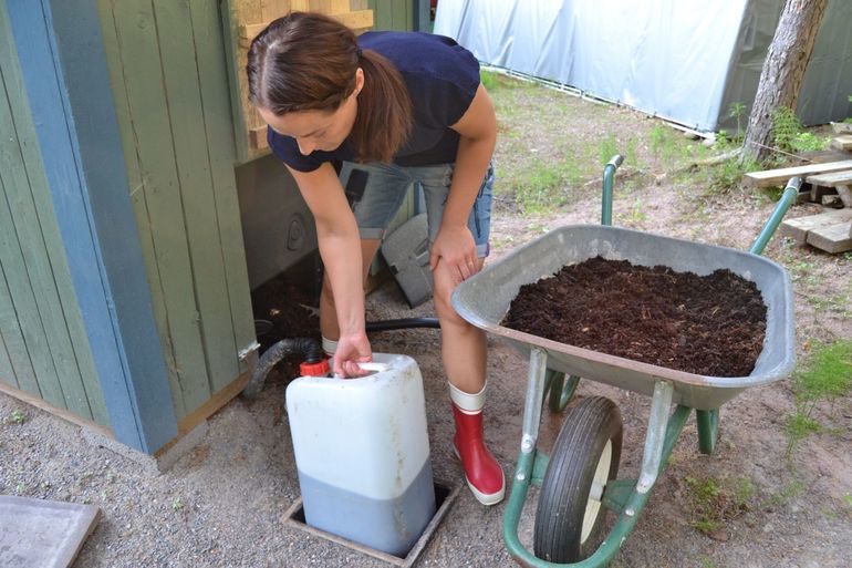 El mejor medio para armario seco