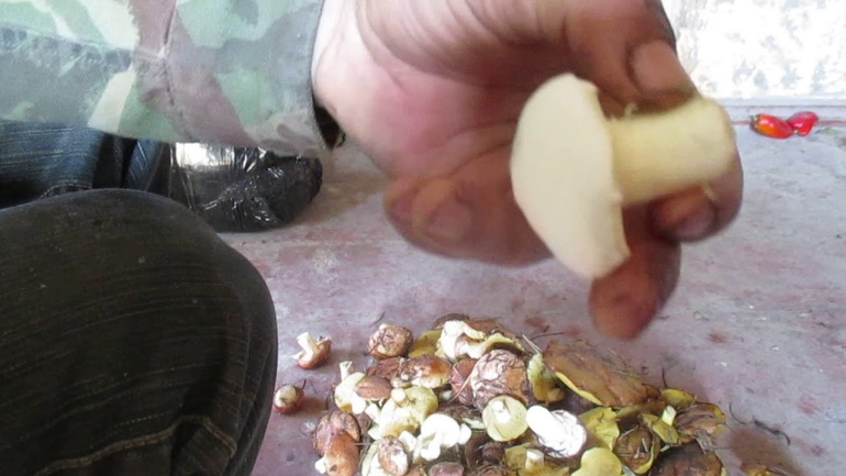 Método para limpiar aceite