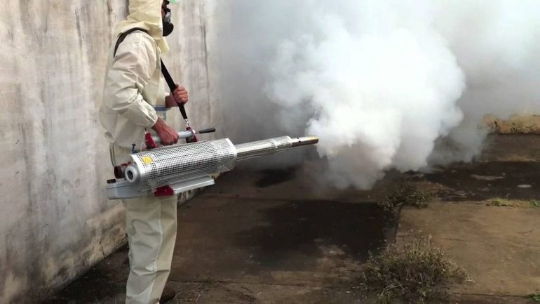 Formas de destruir colonias de avispones