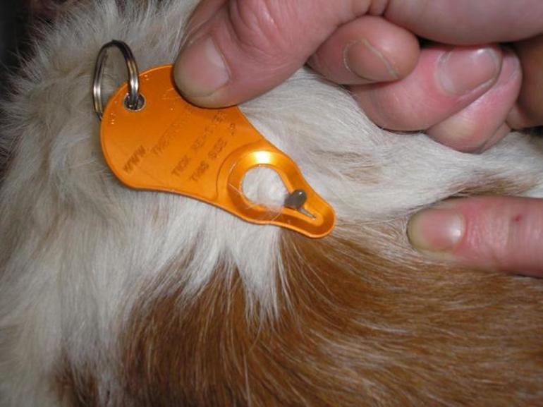 Herramienta con ojal rígido.