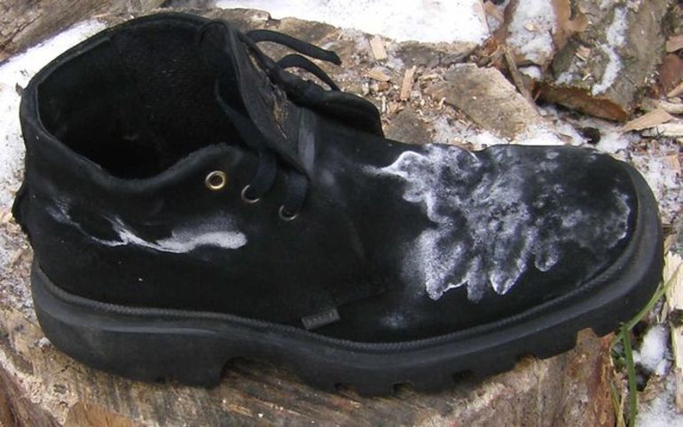 Manchas de ante en ante