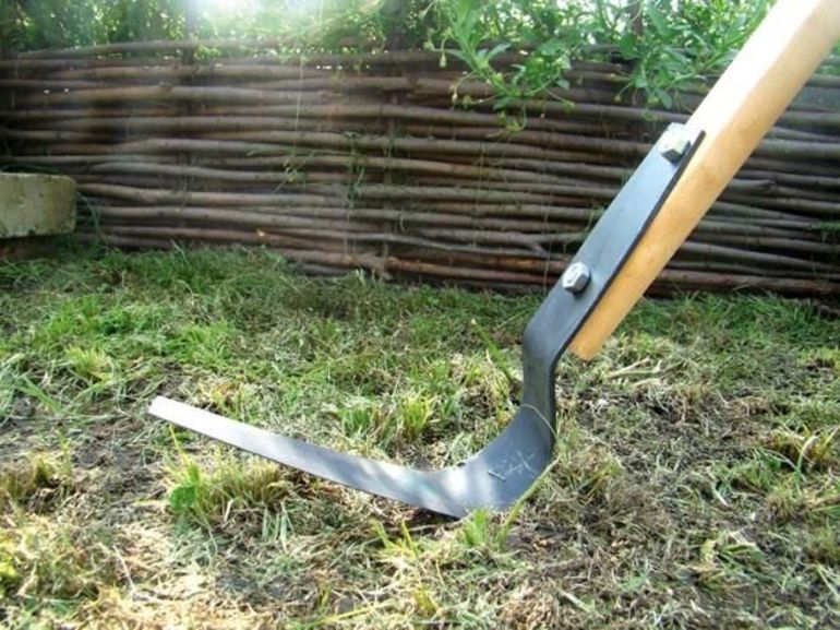 Todo sobre el cortador de plano Fokine