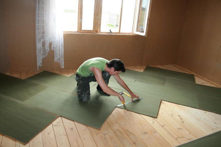 Colocación de coníferas