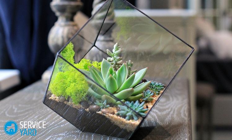 1000-eca11da804109fea7892962f8fa269ed