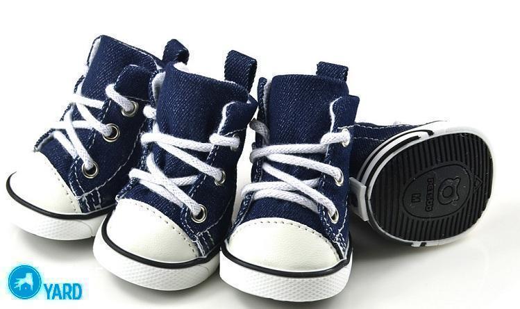 4-sht-lot-siniy-klassicheskiy-svobodnogo-pokroya-dzhinsovyie-tufli-dlya-pet-chihuahua-sportivnaya-obuv-shhenok-malenkiy