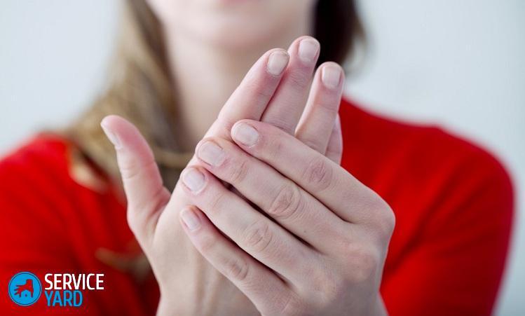 464487985754350b012590-85311913